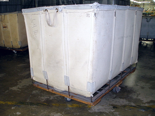 CANVASS BUGGIES, off white in color,